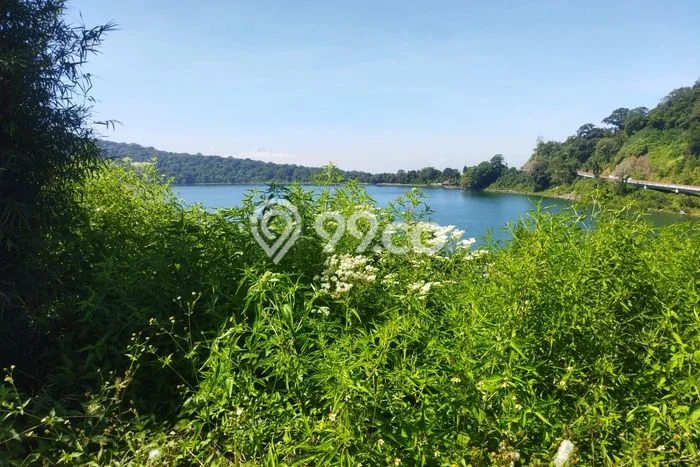 Tanah Dijual Area Strategis di Bedugul Tabanan 20000m2 Tanah Dijual Area Strategis di Bedugul Tabanan 20000m2
