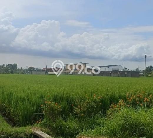 Tanah untuk Disewa di Badung Luas 3500m2 Tanah untuk Disewa di Badung Luas 3500m2