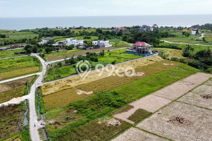 Untuk Dijual Tanah 250m2 di Belalang, Tabanan Untuk Dijual Tanah 250m2 di Belalang, Tabanan