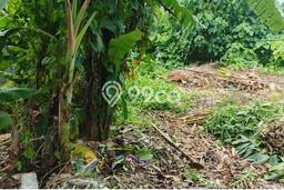 Tanah Disewa di canggu Strategis dan Memiliki Luas 400m2 Tanah Disewa di canggu Strategis dan Memiliki Luas 400m2
