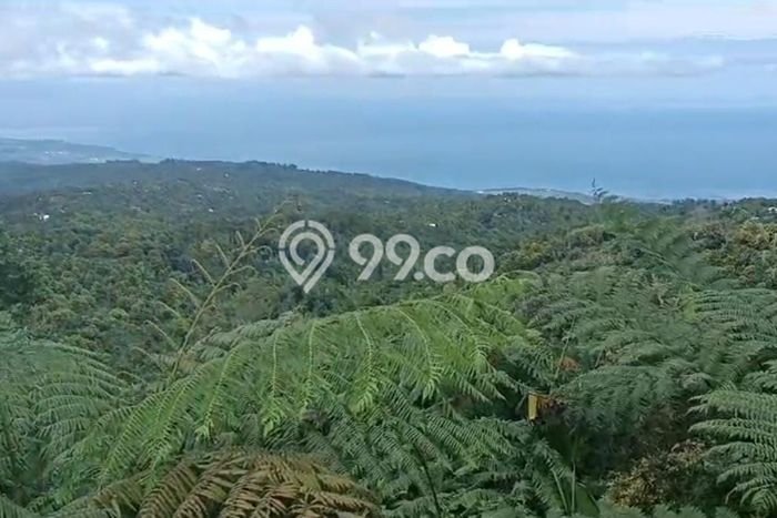 Tanah Kavling Dijual di Buleleng dengan Spesifikasi 17900m2 Tanah Kavling Dijual di Buleleng dengan Spesifikasi 17900m2