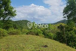 Dijual Tanah Lokasi Manggis, Gianyar Seluas 11775m2 Dijual Tanah Lokasi Manggis, Gianyar Seluas 11775m2