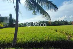 Lahan Kosong Dijual di Badung dengan Area 2900m2 Lahan Kosong Dijual di Badung dengan Area 2900m2