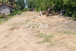 Dijual Tanah 38300m2 di Budeng, Jembrana Dijual Tanah 38300m2 di Budeng, Jembrana