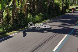 Tanah Kavling Dijual di Luwus, Tabanan dengan Luas Tanah 2400m2 Tanah Kavling Dijual di Luwus, Tabanan dengan Luas Tanah 2400m2