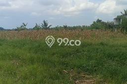 Untuk Dijual Tanah di Badung, Luas 7400m2 SHM Untuk Dijual Tanah di Badung, Luas 7400m2 SHM