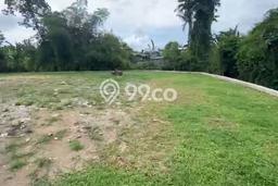 Untuk Dijual Tanah 1546m2 di Canggu, Badung Untuk Dijual Tanah 1546m2 di Canggu, Badung