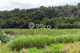 Tanah Dijual di Tabanan Seluas 15800m2 Strategis Tanah Dijual di Tabanan Seluas 15800m2 Strategis