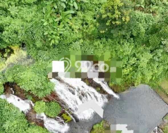 Tanah di Sukasada, Buleleng Luas 210000m2 Dijual Segera Tanah di Sukasada, Buleleng Luas 210000m2 Dijual Segera