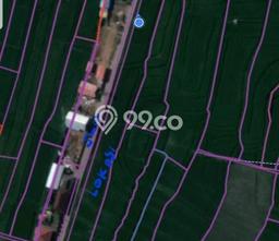 Tanah Dijual Area Strategis di Pererenan Badung 3000m2 Tanah Dijual Area Strategis di Pererenan Badung 3000m2