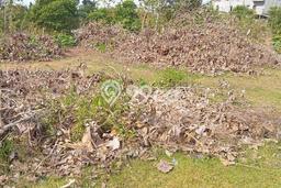 Untuk Dijual Tanah 990m2 di Ungasan, Badung Untuk Dijual Tanah 990m2 di Ungasan, Badung