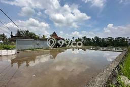 Lahan Investasi Lokasi Tegallalang Gianyar SHM Lahan Investasi Lokasi Tegallalang Gianyar SHM