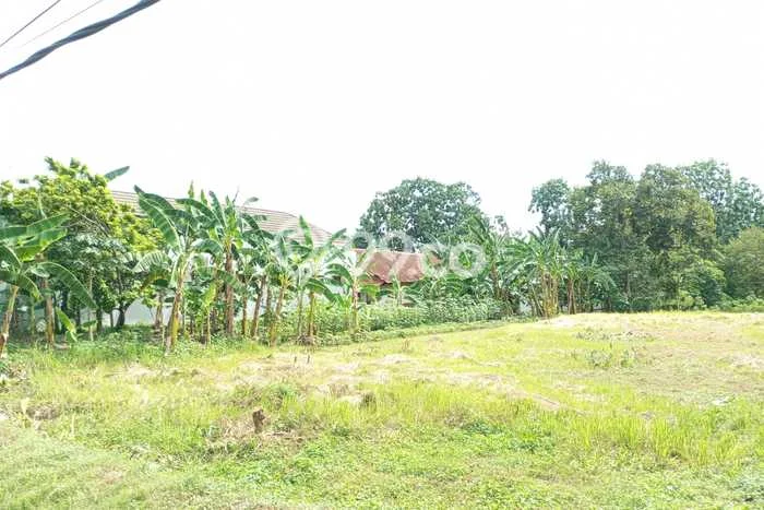 Dijual Tanah di Berbah, Luas 120m², Lingkungan Asri Dijual Tanah di Berbah, Luas 120m², Lingkungan Asri