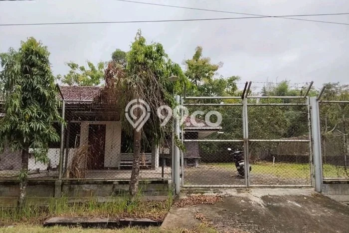 Dijual Cepat Rumah Siap Huni LT 1100m2 LB 200m2 di Blora Cocok untuk Hunian Dijual Cepat Rumah Siap Huni LT 1100m2 LB 200m2 di Blora Cocok untuk Hunian
