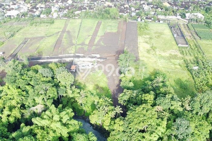 Tanah Dijual di Tabanan Seluas 100m2 Strategis Tanah Dijual di Tabanan Seluas 100m2 Strategis