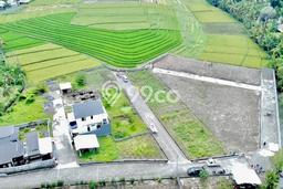 Tanah Dijual di Tabanan Seluas 100m2 Strategis Tanah Dijual di Tabanan Seluas 100m2 Strategis
