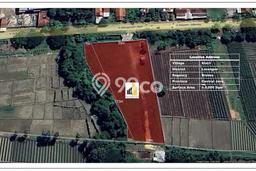 Tanah Kavling di Larangan Dijual dengan Luas 5500m2 Tanah Kavling di Larangan Dijual dengan Luas 5500m2