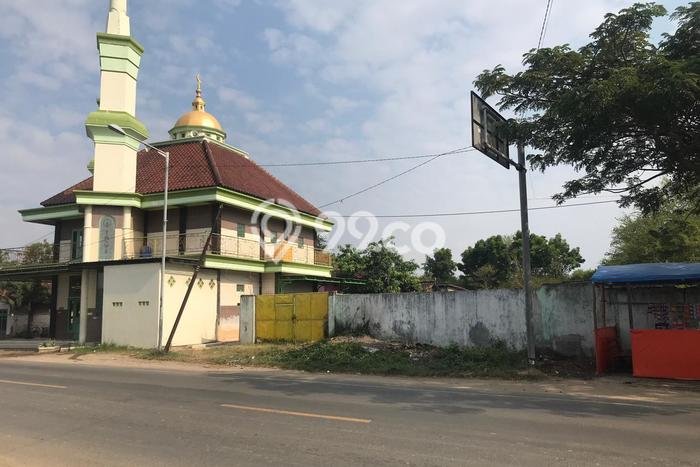Kavling Tanah di Rembang Dijual Luas 150000m2 Legalitas SHM Kavling Tanah di Rembang Dijual Luas 150000m2 Legalitas SHM