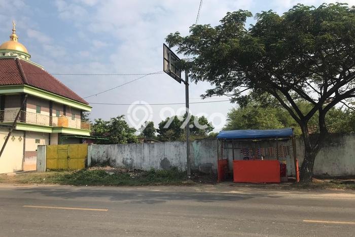 Kavling Tanah di Rembang Dijual Luas 150000m2 Legalitas SHM Kavling Tanah di Rembang Dijual Luas 150000m2 Legalitas SHM