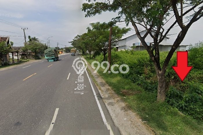 Lahan Investasi Lokasi Widang Tuban SHM Lahan Investasi Lokasi Widang Tuban SHM
