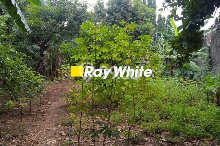 AREA PROSPEKTIF! Tanah Kawasan Meruya, Luas 400m², Dekat Fasilitas Umum AREA PROSPEKTIF! Tanah Kawasan Meruya, Luas 400m², Dekat Fasilitas Umum