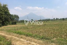 Lahan Kosong Dijual di Beji, Pasuruan, Luas 2694m2 Area Strategis Lahan Kosong Dijual di Beji, Pasuruan, Luas 2694m2 Area Strategis