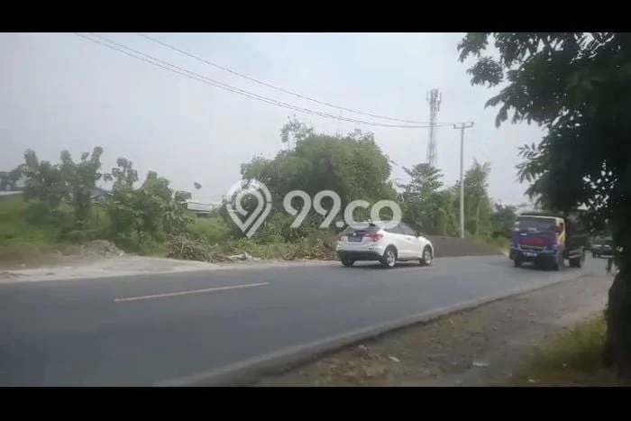Jarang Ada! Tanah di Palimanan Punya Luas 40000m2 - Jarang Ada! Tanah di Palimanan Punya Luas 40000m2 -