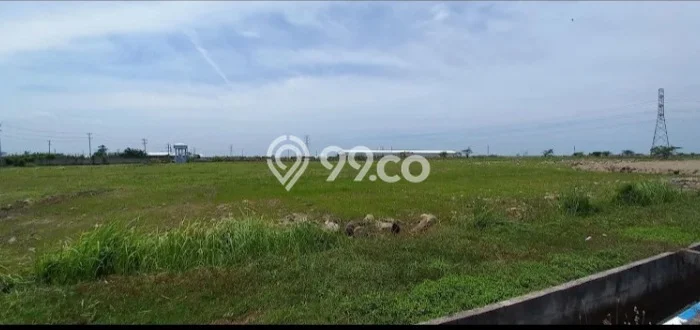 Kavling Tanah Dijual di Demak Demak Spesifikasi 3e+06m2 Kavling Tanah Dijual di Demak Demak Spesifikasi 3e+06m2
