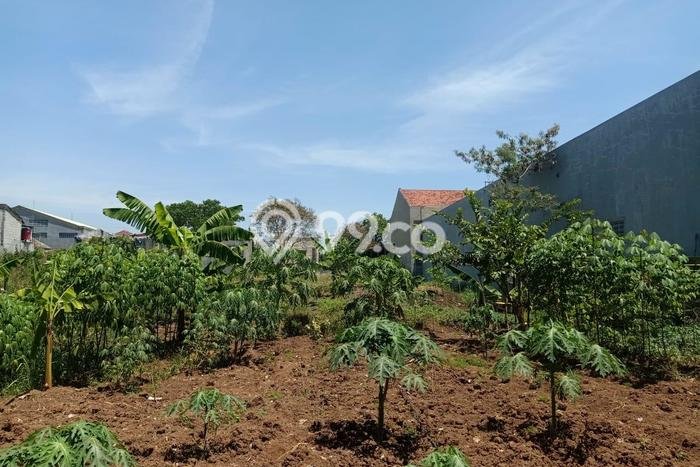 Jarang Ada! Tanah di Ciparay Punya Luas 1306m2 AJB Jarang Ada! Tanah di Ciparay Punya Luas 1306m2 AJB