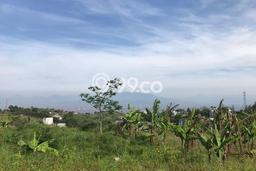 Tanah Siap Bangun Dijual di Bandung Punya Luas 1151m2 Tanah Siap Bangun Dijual di Bandung Punya Luas 1151m2