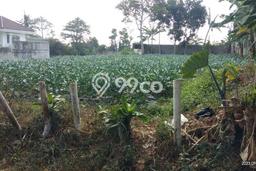 Tanah Kavling Dijual di Bandung dengan Spesifikasi 915m2 Tanah Kavling Dijual di Bandung dengan Spesifikasi 915m2