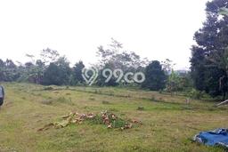 Tanah di Purwakarta, Purwakarta Luas 15600m2 Dijual Segera Tanah di Purwakarta, Purwakarta Luas 15600m2 Dijual Segera