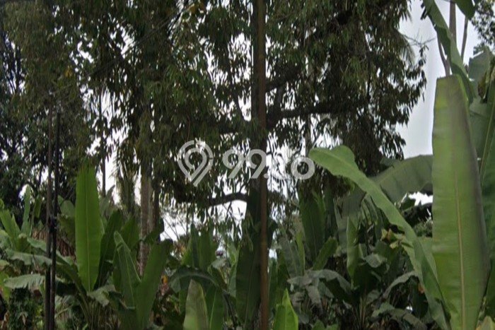 Tanah Dijual Lokasi Subang Kota, Subang Luas 16125m2 Legalitas Aman Tanah Dijual Lokasi Subang Kota, Subang Luas 16125m2 Legalitas Aman