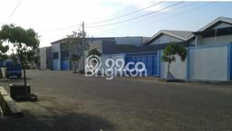 Area Strategis! Disewakan Gudang Lokasi Benowo, Surabaya Cocok untuk Bisnis Area Strategis! Disewakan Gudang Lokasi Benowo, Surabaya Cocok untuk Bisnis