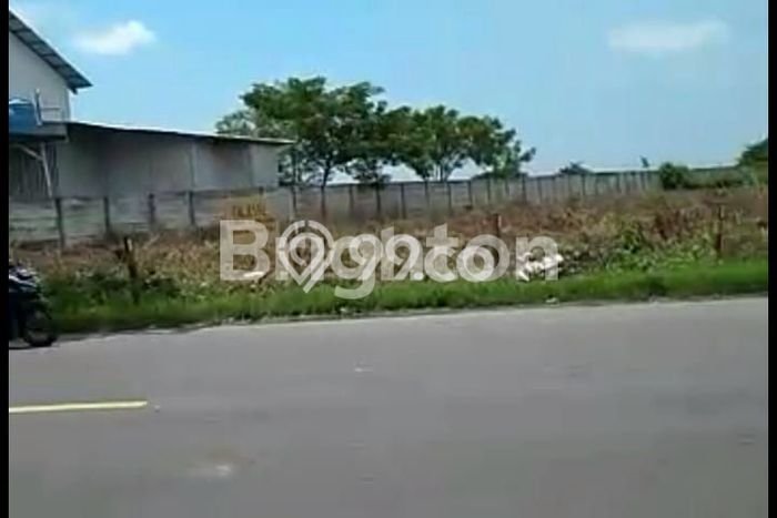 Tanah Dijual Lokasi Widang Tuban SHM Tanah Dijual Lokasi Widang Tuban SHM