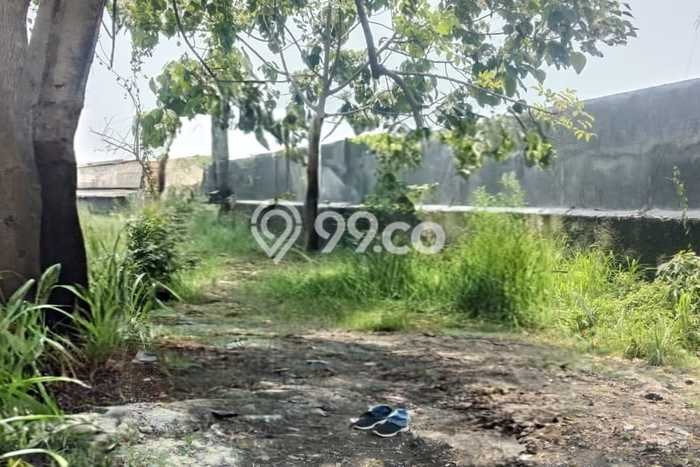 Tanah Disewa di Teluk Naga Strategis dan Memiliki Luas 1100m2 Tanah Disewa di Teluk Naga Strategis dan Memiliki Luas 1100m2