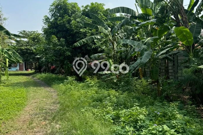 Lahan Disewakan Lokasi Batu Ceper Tangerang Luas 1000m2 Lahan Disewakan Lokasi Batu Ceper Tangerang Luas 1000m2