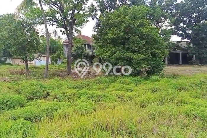 Tanah Kavling Dijual di Teluk Naga, Tangerang dengan Luas Tanah 10000m2 Tanah Kavling Dijual di Teluk Naga, Tangerang dengan Luas Tanah 10000m2