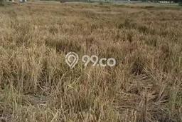 Tanah Kavling untuk Dijual di Neglasari Tangerang 11000m2 Tanah Kavling untuk Dijual di Neglasari Tangerang 11000m2