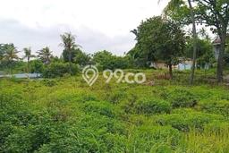 Tanah Kavling Dijual di Teluk Naga, Tangerang dengan Luas Tanah 10000m2 Tanah Kavling Dijual di Teluk Naga, Tangerang dengan Luas Tanah 10000m2