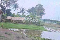 Tanah Kavling di Balaraja Dijual dengan Luas 20000m2 Tanah Kavling di Balaraja Dijual dengan Luas 20000m2