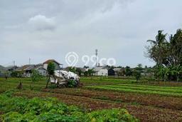 Tanah untuk Dijual Lokasi Sepatan Timur, Tangerang Luas 16000m2 SHM Tanah untuk Dijual Lokasi Sepatan Timur, Tangerang Luas 16000m2 SHM