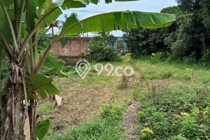 Lahan Disewakan Lokasi Teluk Naga Tangerang Luas 2600m2 Lahan Disewakan Lokasi Teluk Naga Tangerang Luas 2600m2