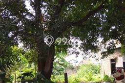 Jarang Ada! Tanah di Cengkareng Punya Luas 684m2 SHM Jarang Ada! Tanah di Cengkareng Punya Luas 684m2 SHM