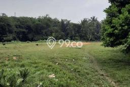 Kavling Tanah Dijual di Tigaraksa Tangerang Spesifikasi 4000m2 Kavling Tanah Dijual di Tigaraksa Tangerang Spesifikasi 4000m2