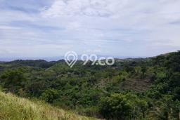 Tanah Kavling Dijual di Nusa Penida, Klungkung dengan Luas Tanah 500m2 Tanah Kavling Dijual di Nusa Penida, Klungkung dengan Luas Tanah 500m2