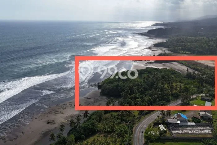 Tanah Investasi Dijual di Tabanan Punya Luas 27850m2 Tanah Investasi Dijual di Tabanan Punya Luas 27850m2
