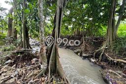 Dijual Tanah Lokasi Tanah Lot, Tabanan Seluas 21800m2 Dijual Tanah Lokasi Tanah Lot, Tabanan Seluas 21800m2