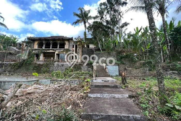 Untuk Dijual Tanah di Payangan Gianyar Luas 5300m2 SHM Untuk Dijual Tanah di Payangan Gianyar Luas 5300m2 SHM
