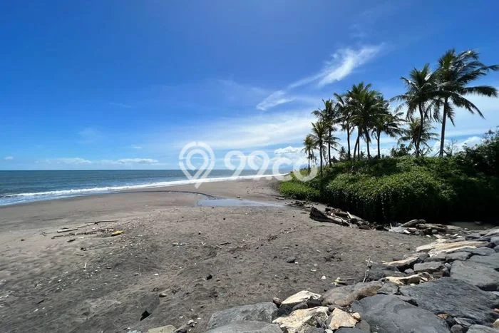 Lahan Dijual Lokasi Strategis di Tabanan dengan Luas 4954m2 Lahan Dijual Lokasi Strategis di Tabanan dengan Luas 4954m2